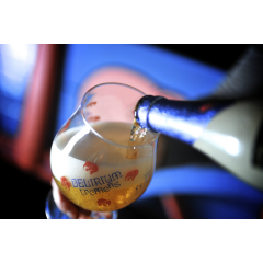 Delirium Tremens – klaas