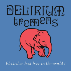 Delirium Tremens 33cl